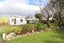 192 Racecourse Road, Glengarry, Invercargill - Carousel 27