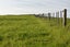 100 Wairoa Gorge Road, Wairoa Valley - Carousel 34
