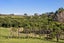3/303 Point Chevalier Road, Point Chevalier, Auckland - Carousel 18
