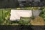40 Grassmere Road, Henderson Valley, Auckland - Carousel 29