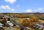 14B Ila Place, Hairini, Tauranga - Carousel 19