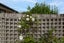 32 Blunt Road, Te Kauwhata, Te Kauwhata - Carousel 31
