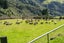 92 Mount Cargill Road, Mount Cargill, Waitati - Carousel 26