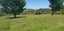 0 Moir Hill Road, Warkworth, Warkworth - Carousel 8