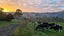 915 Waikare Road, Waerenga - Carousel 36