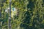 165 Owhiwa Road, Onerahi - Carousel 45