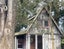48 Longstaffs Road, Christchurch - Carousel 27