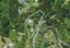 755 Driving Creek Road, Coromandel, Coromandel - Carousel 3