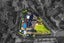 47 Cloverfields Drive, Waimauku, Waimauku - Carousel 19