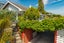 10 Quebec Road, Washington Valley, Nelson - Carousel 21
