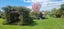 54 Mcleavey Road, Ohau, Levin - Carousel 3