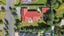 11 Hulme Lane, Rolleston, Rolleston - Carousel 24