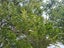 54 Hall Road, Matakohe - Carousel 12