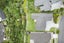 30 Ihimaera Terrace, Leamington, Cambridge - Carousel 22