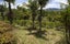 66B Rataroa Road, Kaeo, Kaeo - Carousel 29