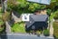 171 Doon Street, Waverley, Dunedin - Carousel 35