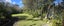 6 Lidcombe Place, Avondale, Auckland - Carousel 24