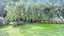 250 Dominion Road, Red Hill, Papakura - Carousel 10