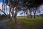 0 Kumara Junction Highway, Seaview, Hokitika - Carousel 7