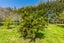 35 Whelans Road, Levin, Levin - Carousel 10