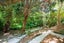 4 McConnell Lane, Chartwell, Hamilton - Carousel 2
