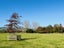 206 Okaeria Road, Waerenga - Carousel 5
