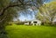 1 Glenhill Drive, Witherlea, Blenheim - Carousel 6
