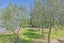 1103 Downs Road, West Eyreton, Rangiora - Carousel 47