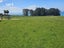 38 Taieri Beach Road, TAIERI BEACH, TAIERI MOUTH - Carousel 12
