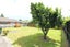 13 Avondale Road, Avondale, Auckland - Carousel 13