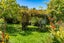 881 Whakapirau Road, Maungaturoto - Carousel 23