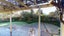 261 Victoria Avenue, Hokowhitu, Palmerston North - Carousel 20
