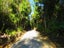 207 Tanglefern Row, Virgin Flat, Cape Foulwind - Carousel 10