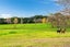 47 Wilson Road, Wellsford, Wellsford - Carousel 17