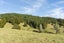27 Hukerenui Road, Hikurangi - Carousel 31