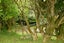 1B Apuka Street, Brooklyn, Wellington - Carousel 12