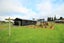 51 Brough Street, Palmerston - Carousel 2
