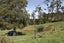 230 Ginn Road, Rotowaro, Huntly - Carousel 33