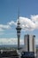 3706/10 Commerce Street, Auckland Central, Auckland - Carousel 16