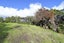 99 Birdsall Road, Whangateau - Carousel 7