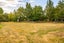 128 Kerrytown Road, Kerrytown - Carousel 43