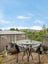 66B MacLaggan Street, City Centre, Dunedin, Otago - Carousel 10