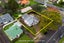 90 Rangitoto Road, Papatoetoe, Auckland - Carousel 19
