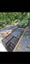 22 Trig Road, Whenuapai, Auckland - Carousel 15