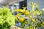 50A Burns Avenue, Takaro, Palmerston North - Carousel 14