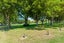12 Bunyan Street, Waltham, Christchurch - Carousel 3