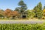 1/702 Tomoana Road, Mahora, Hastings, Hawke's Bay - Carousel 2