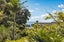 2/13 Muritai Road, Milford, Auckland - Carousel 20