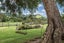 192 Vinegar Hill Road, Kauri, Kamo - Carousel 36