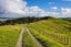 164 Beatson Road, Whakapirau - Carousel 19